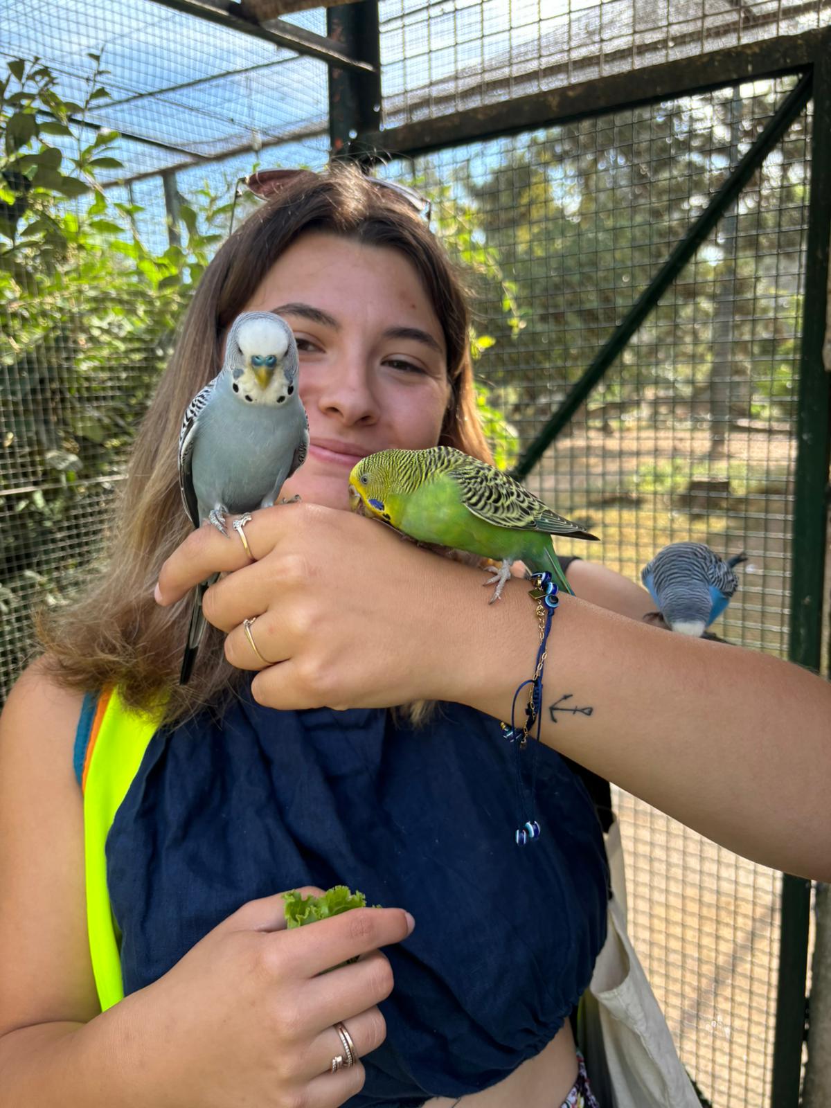 Amandine avec ses perruches